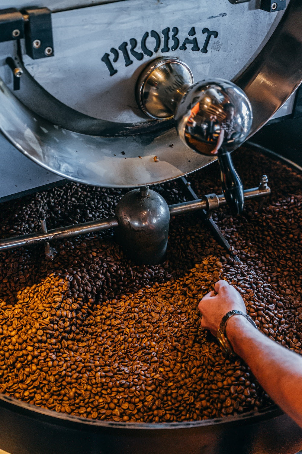 Coffee roasting process with a Probat coffee roaster and roasted coffee beans.