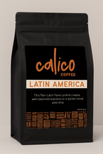 Load image into Gallery viewer, Latin America
